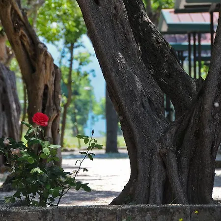 Village Riviera Vakantiepark 3*