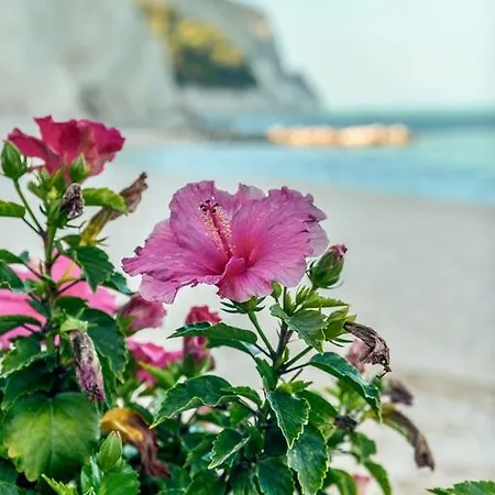 Üdülőpark Village Riviera 3*