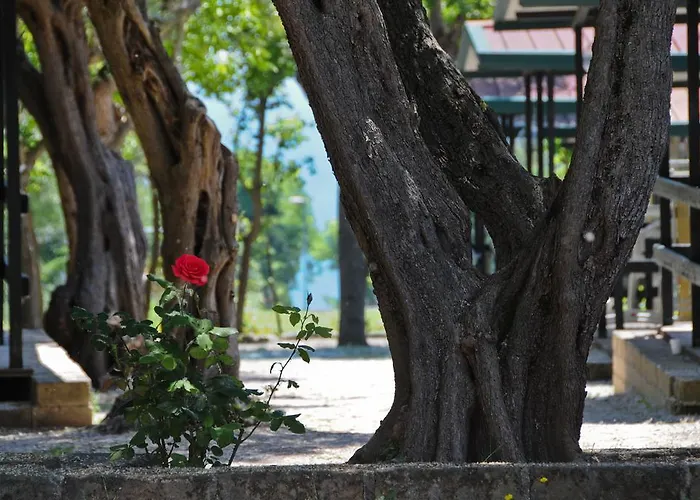 Village Riviera Parco vacanze 3*