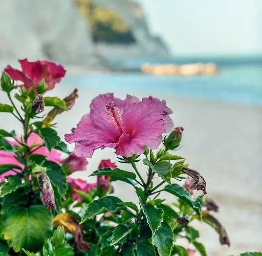 Parco vacanze Village Riviera 3*